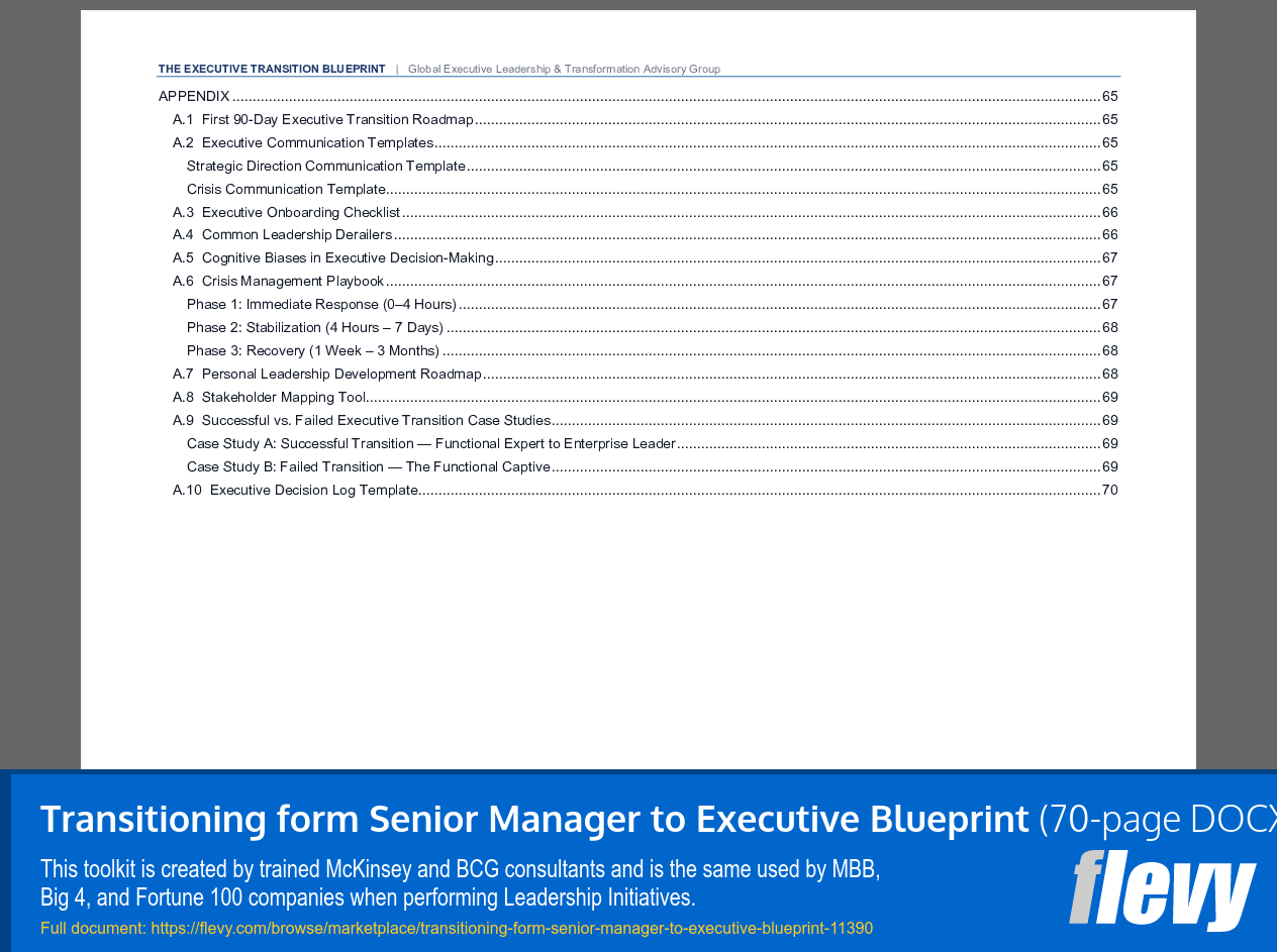 Transitioning from Senior Manager to Executive Blueprint (70-page Word document) Preview Image