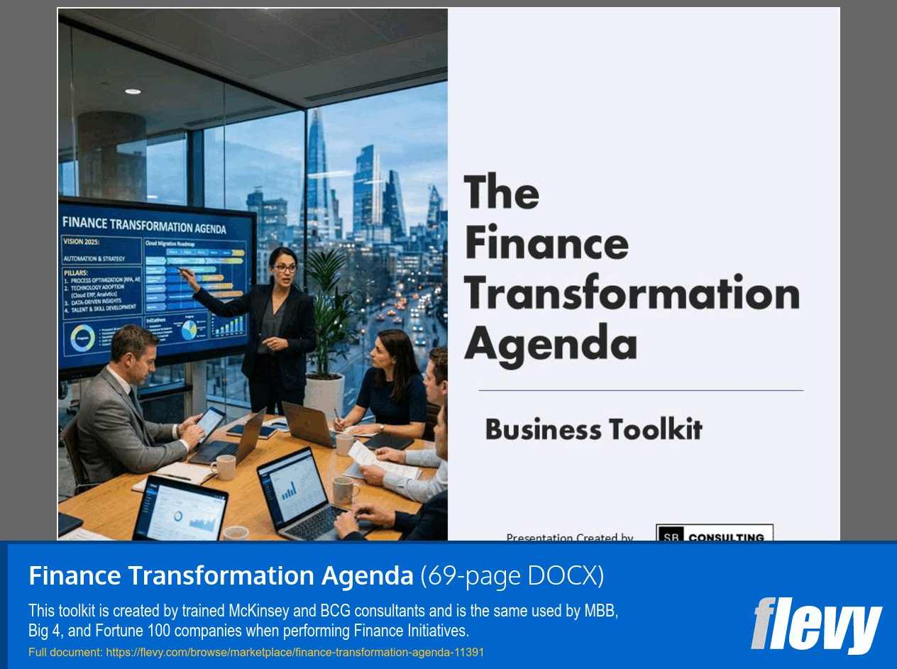 Finance Transformation Agenda (69-page Word document) Preview Image