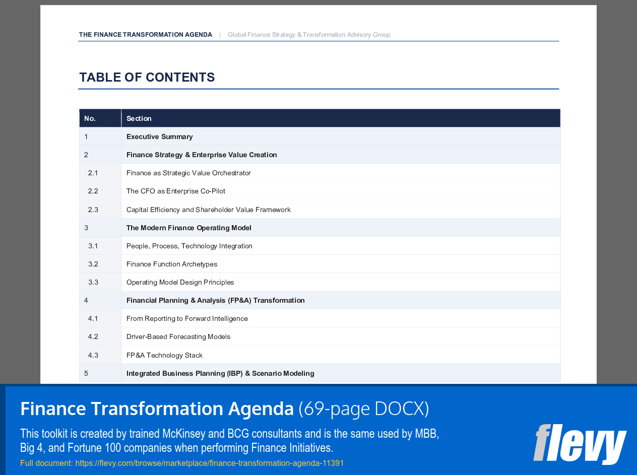 Finance Transformation Agenda (69-page Word document) Preview Image