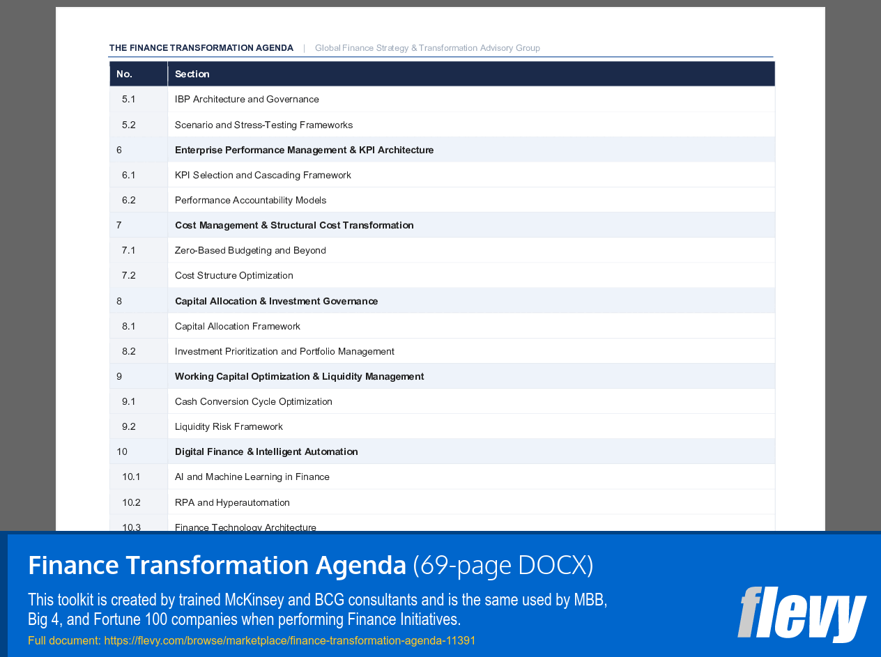 Finance Transformation Agenda (69-page Word document) Preview Image
