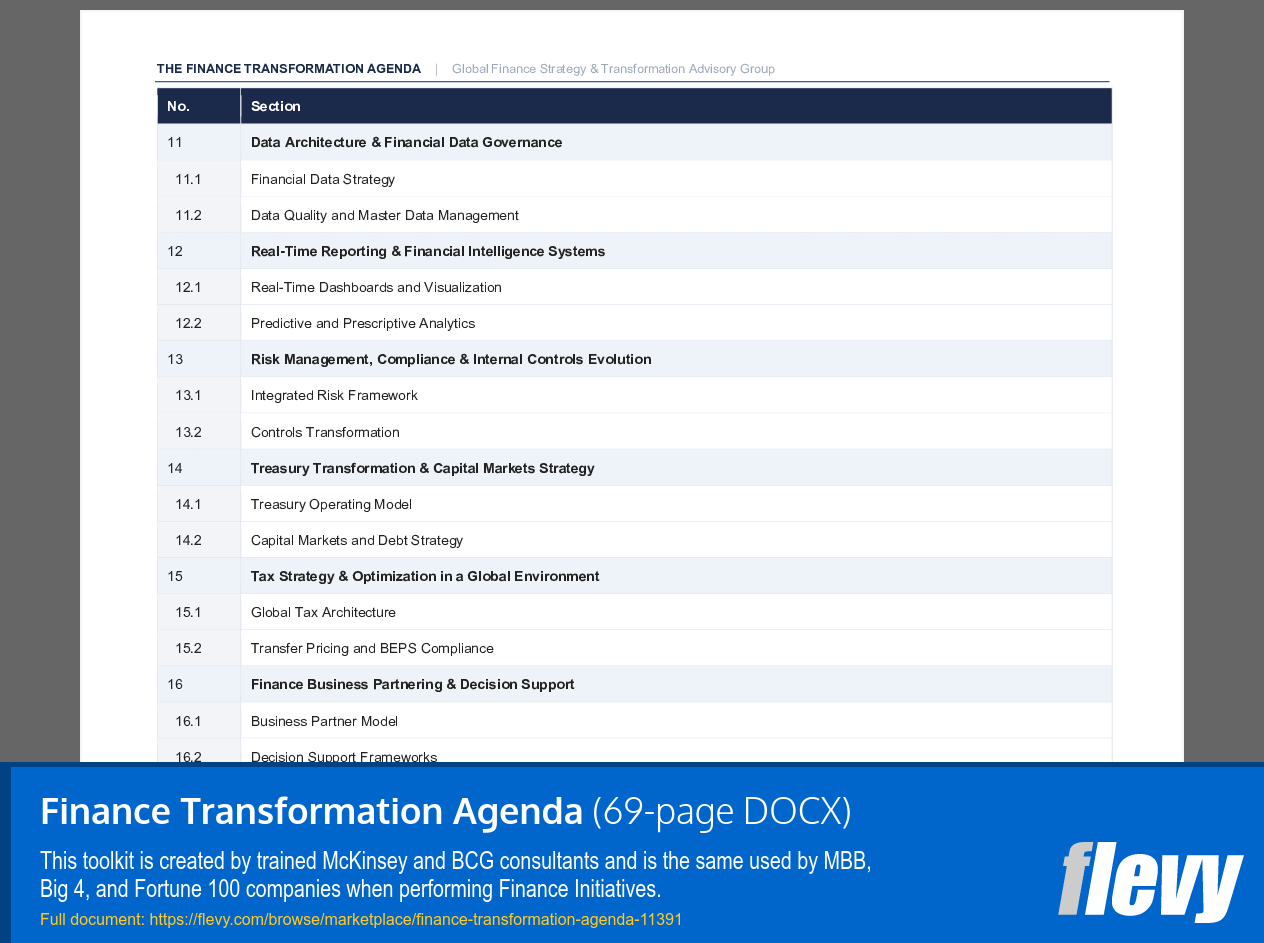 Finance Transformation Agenda (69-page Word document) Preview Image