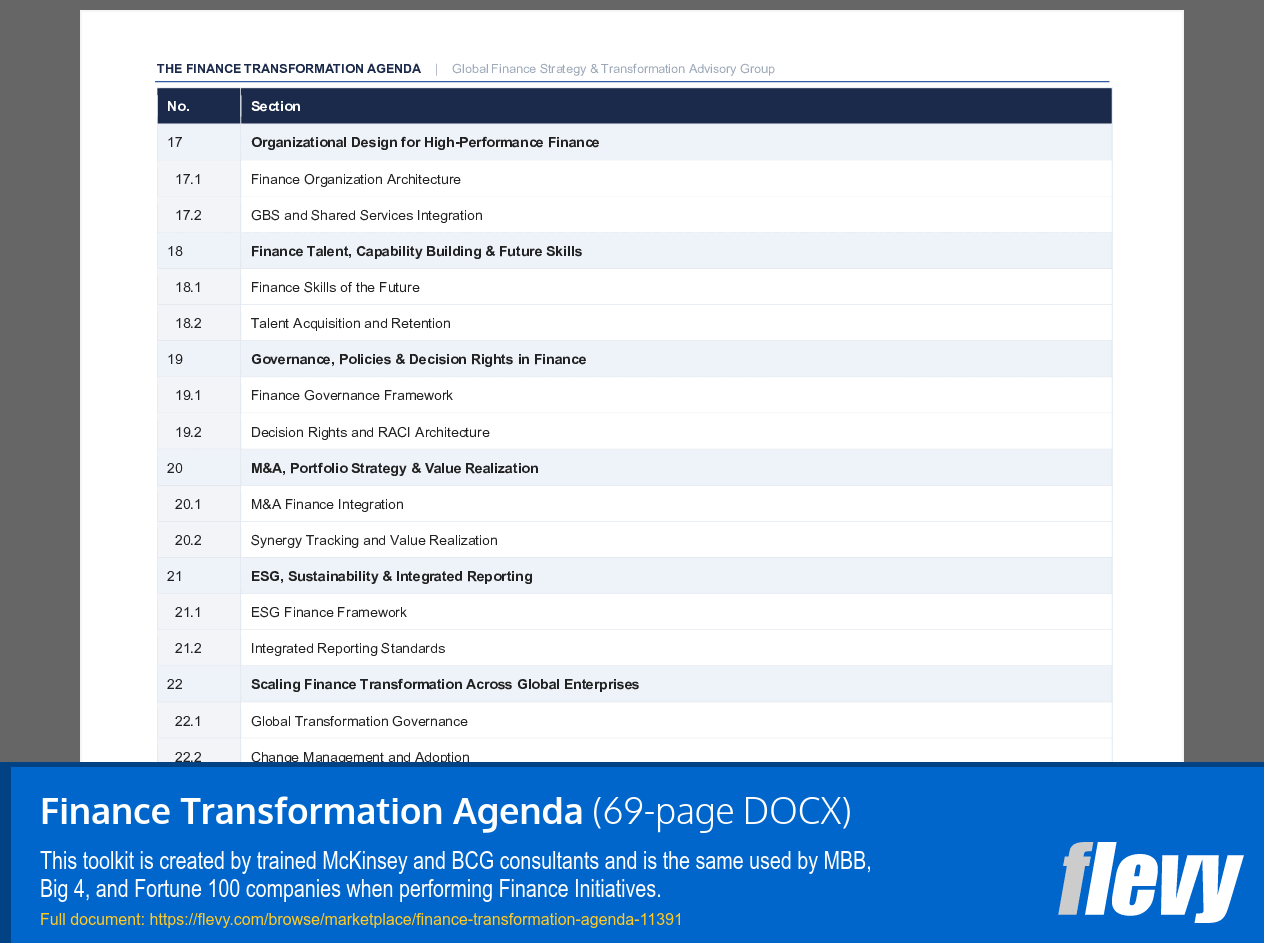 Finance Transformation Agenda (69-page Word document) Preview Image