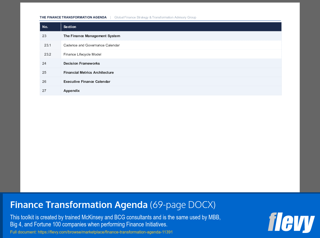 Finance Transformation Agenda (69-page Word document) Preview Image