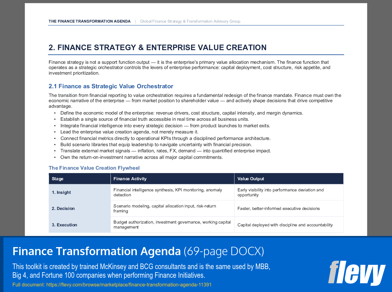 Finance Transformation Agenda (69-page Word document) Preview Image