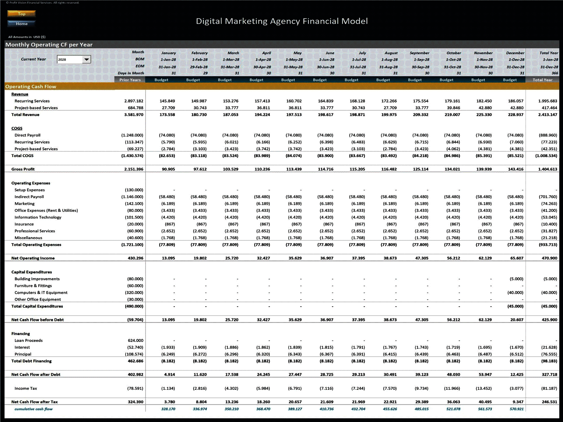Digital Marketing Agency - 10 Year Financial Model (Excel template (XLSX)) Preview Image