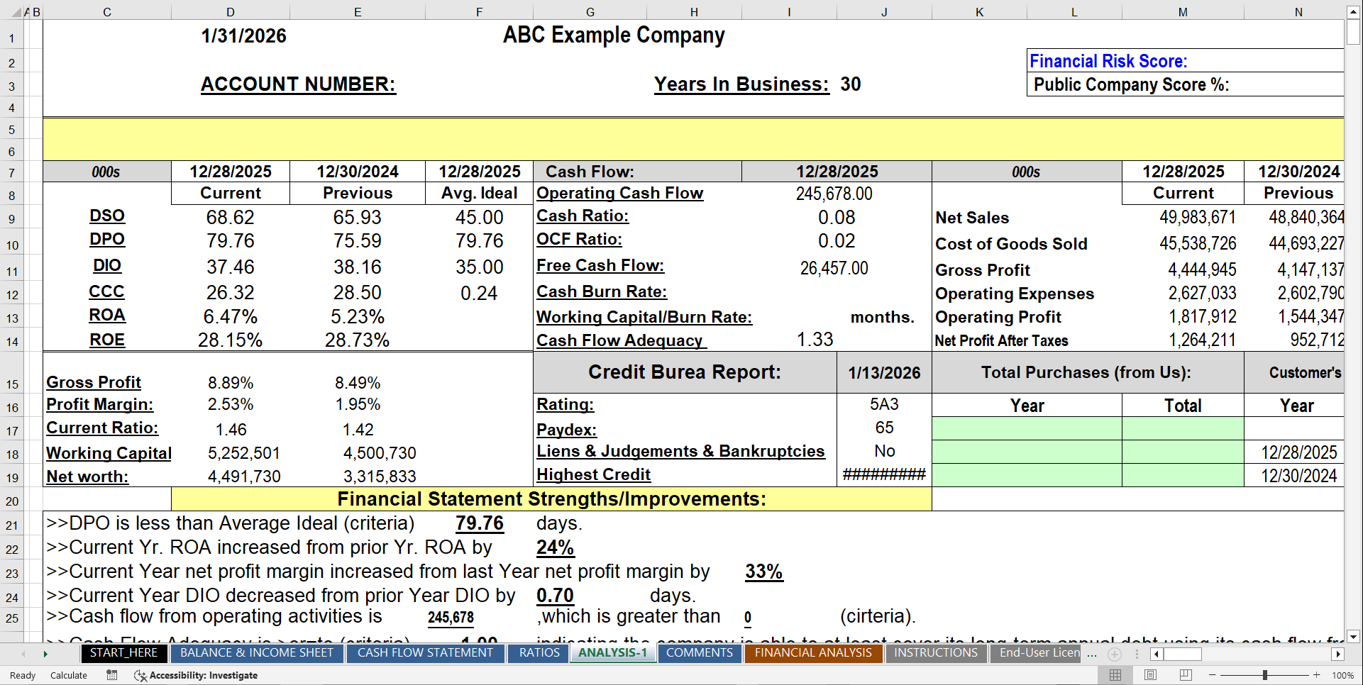Financial and Credit Analysis Model | FAMC Pro (Excel template (XLSX)) Preview Image