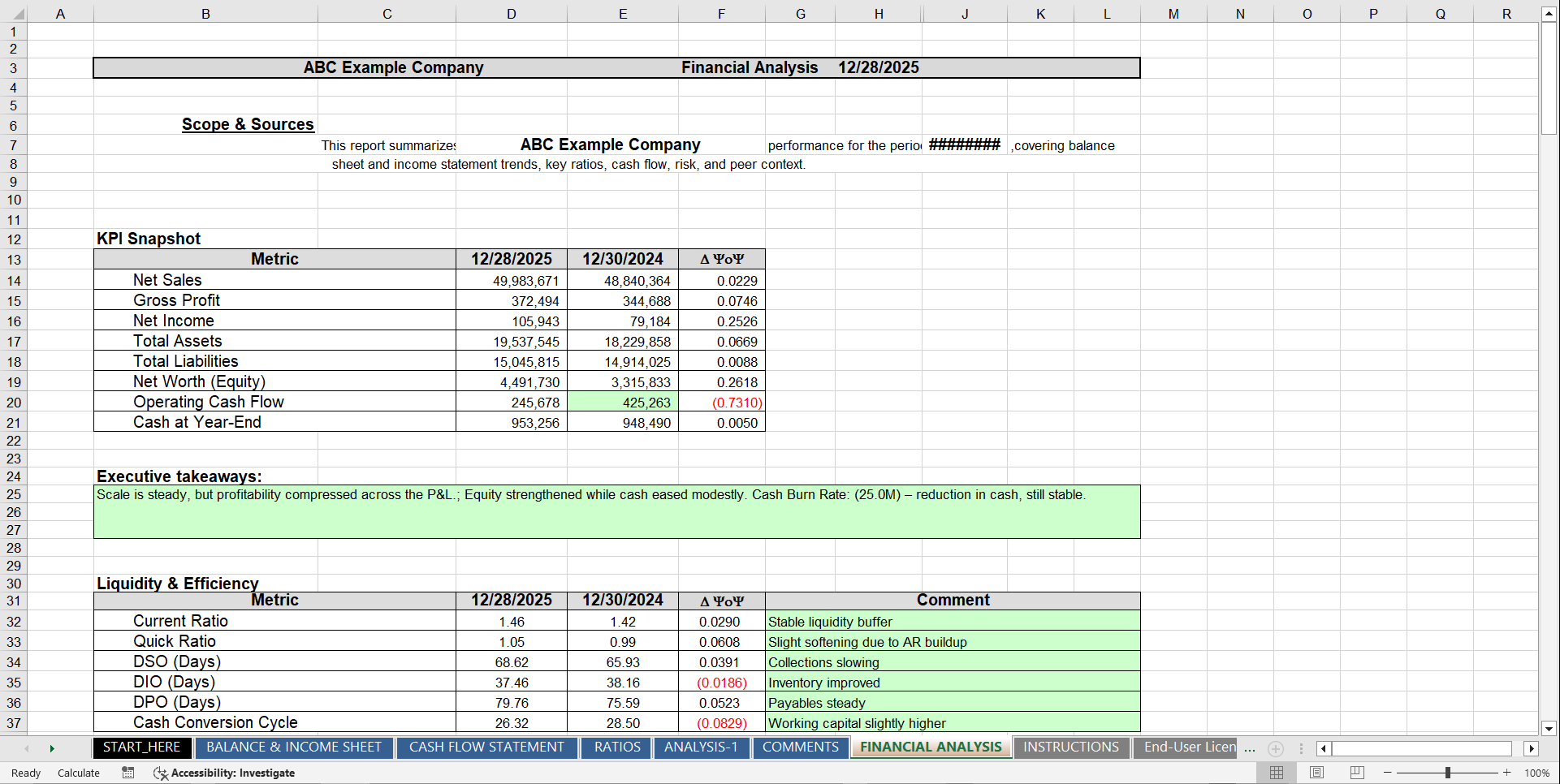 Financial and Credit Analysis Model | FAMC Pro (Excel template (XLSX)) Preview Image