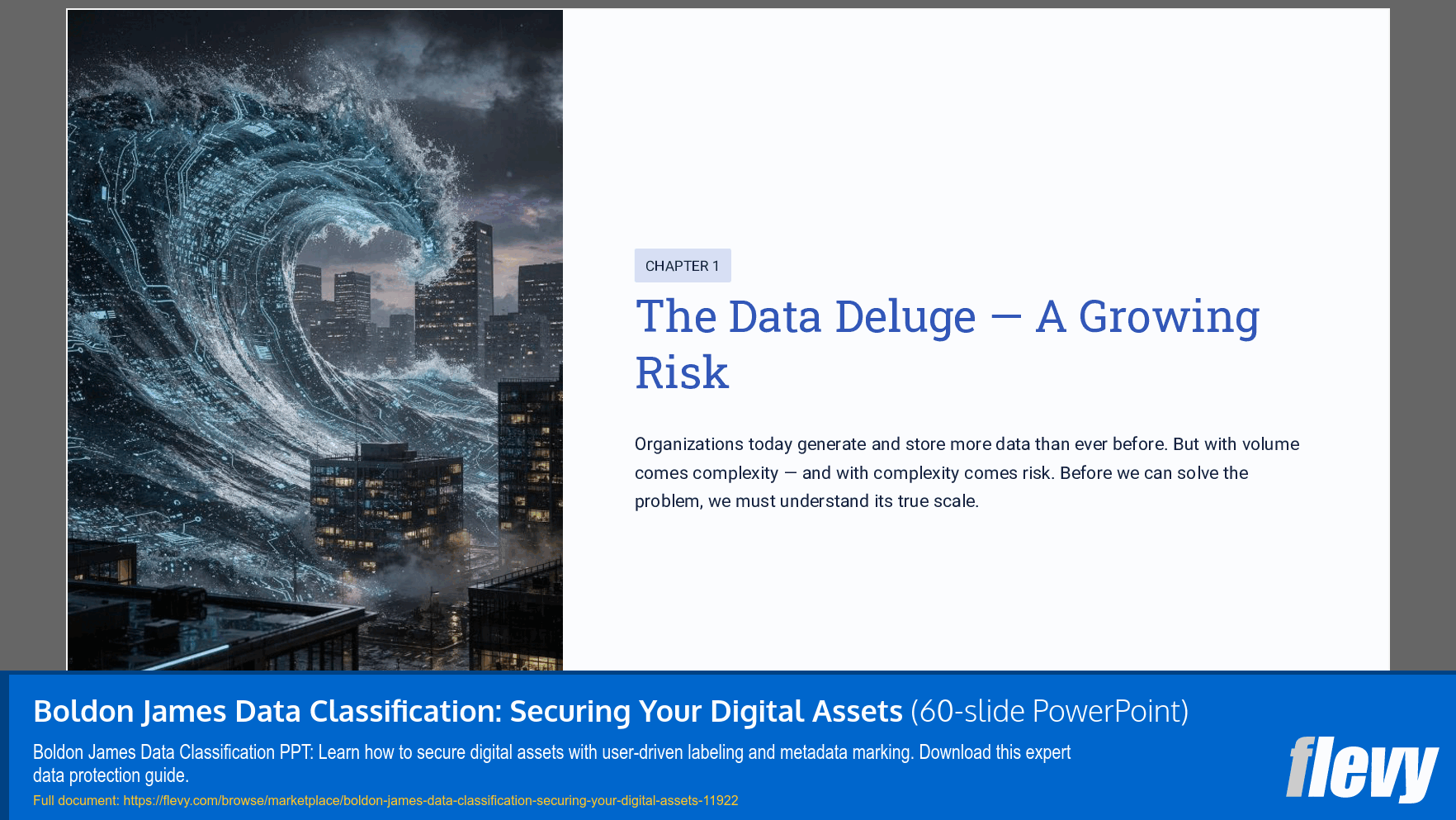 Boldon James Data Classification: Securing Your Digital Assets (60-slide PPT PowerPoint presentation template (PPTX)) Preview Image