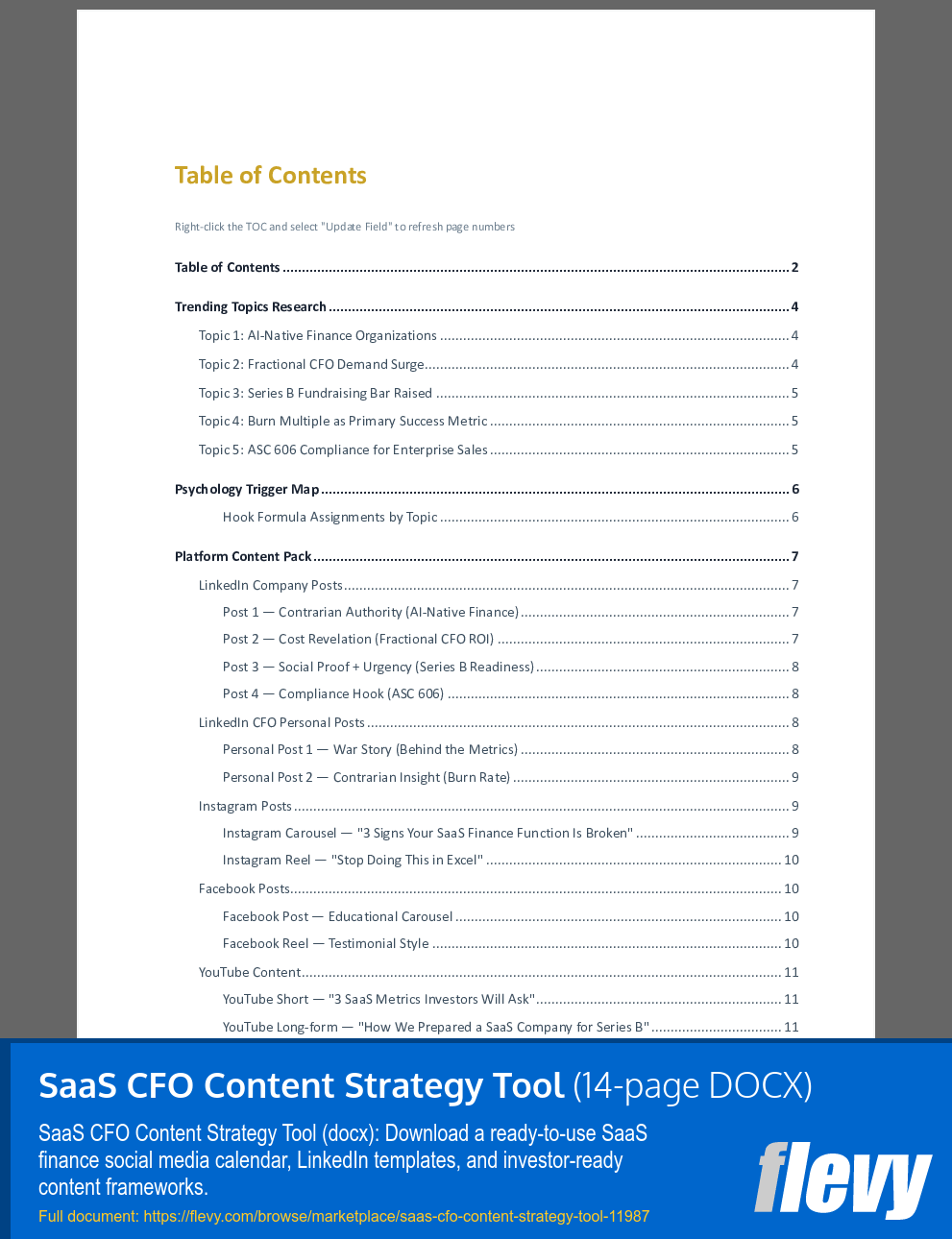 SaaS CFO Content Strategy Tool (14-page Word document) Preview Image