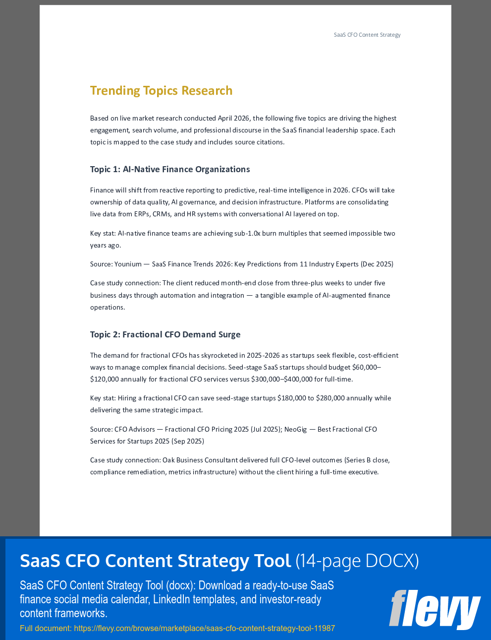 SaaS CFO Content Strategy Tool (14-page Word document) Preview Image