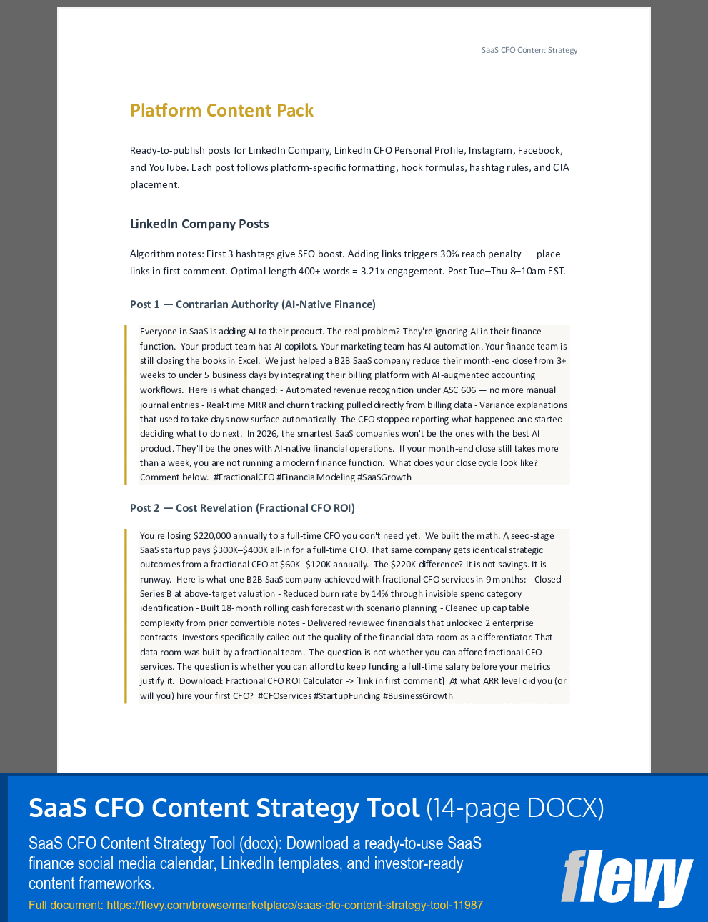 SaaS CFO Content Strategy Tool (14-page Word document) Preview Image
