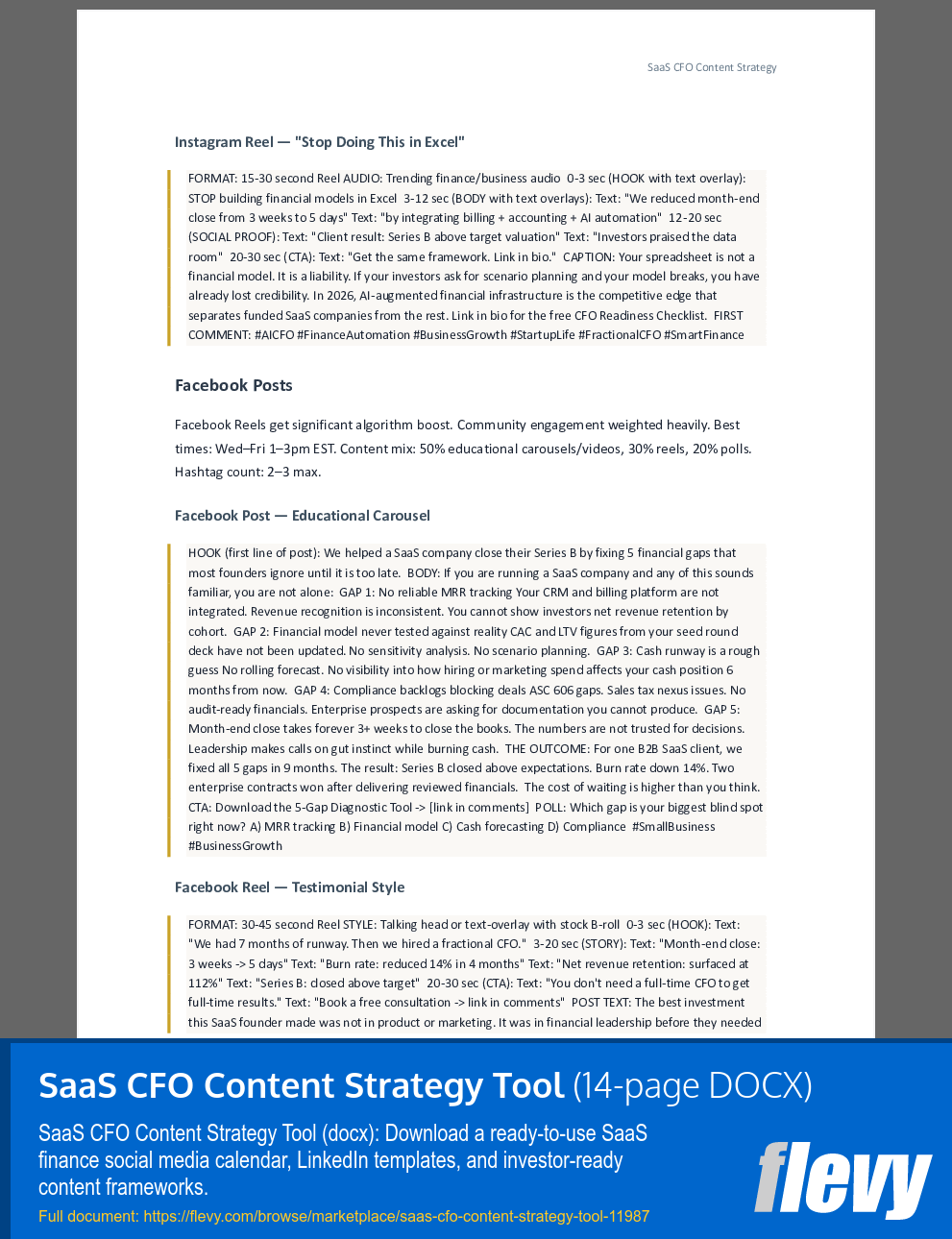 SaaS CFO Content Strategy Tool (14-page Word document) Preview Image