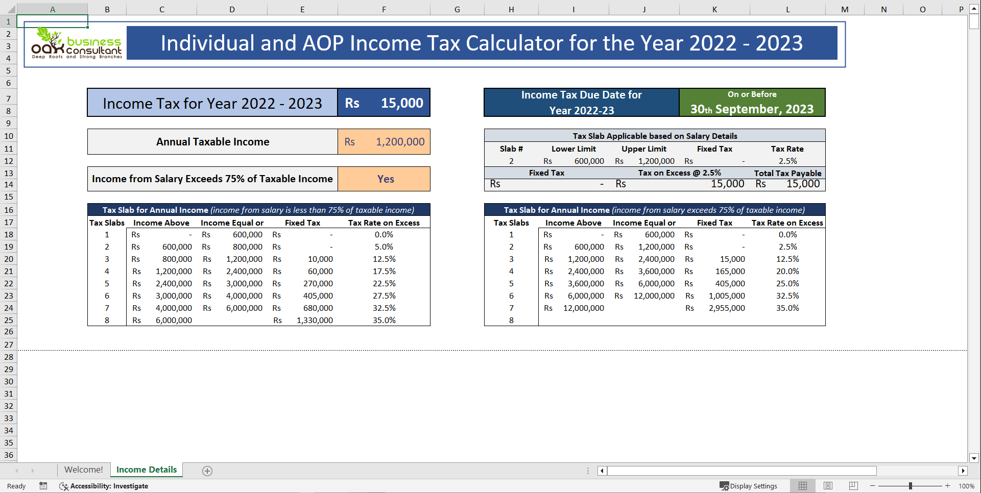 Personal Income Tax Calculator (Excel template (XLSX)) Preview Image