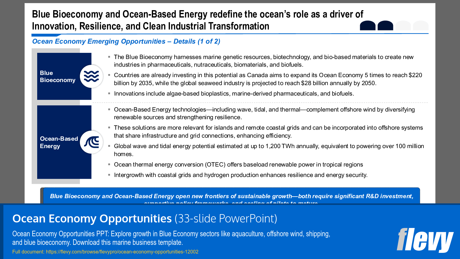 Harnessing Ocean Resources for Sustainable Growth