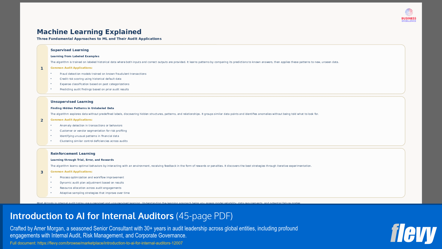 Introduction to AI for Internal Auditors (45-page PDF document) Preview Image