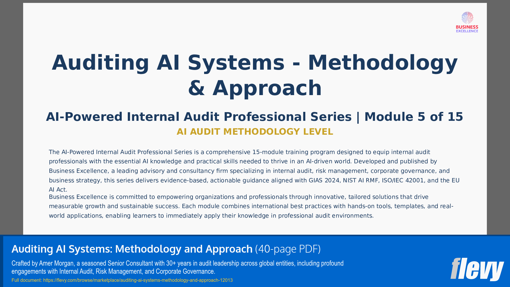 Auditing AI Systems: Methodology and Approach (40-page PDF document) Preview Image