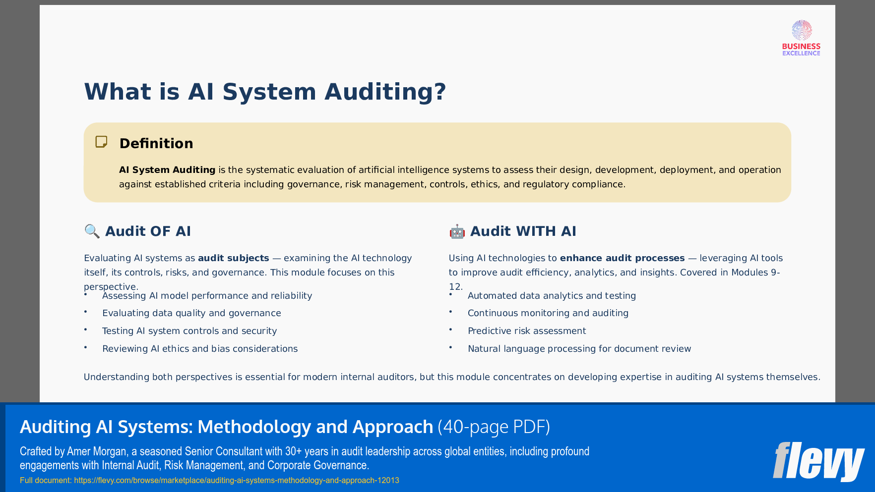 Auditing AI Systems: Methodology and Approach (40-page PDF document) Preview Image