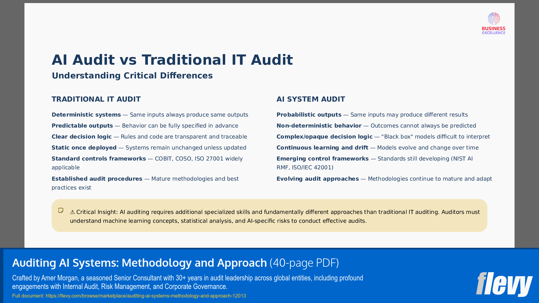 Auditing AI Systems: Methodology and Approach (40-page PDF document) Preview Image
