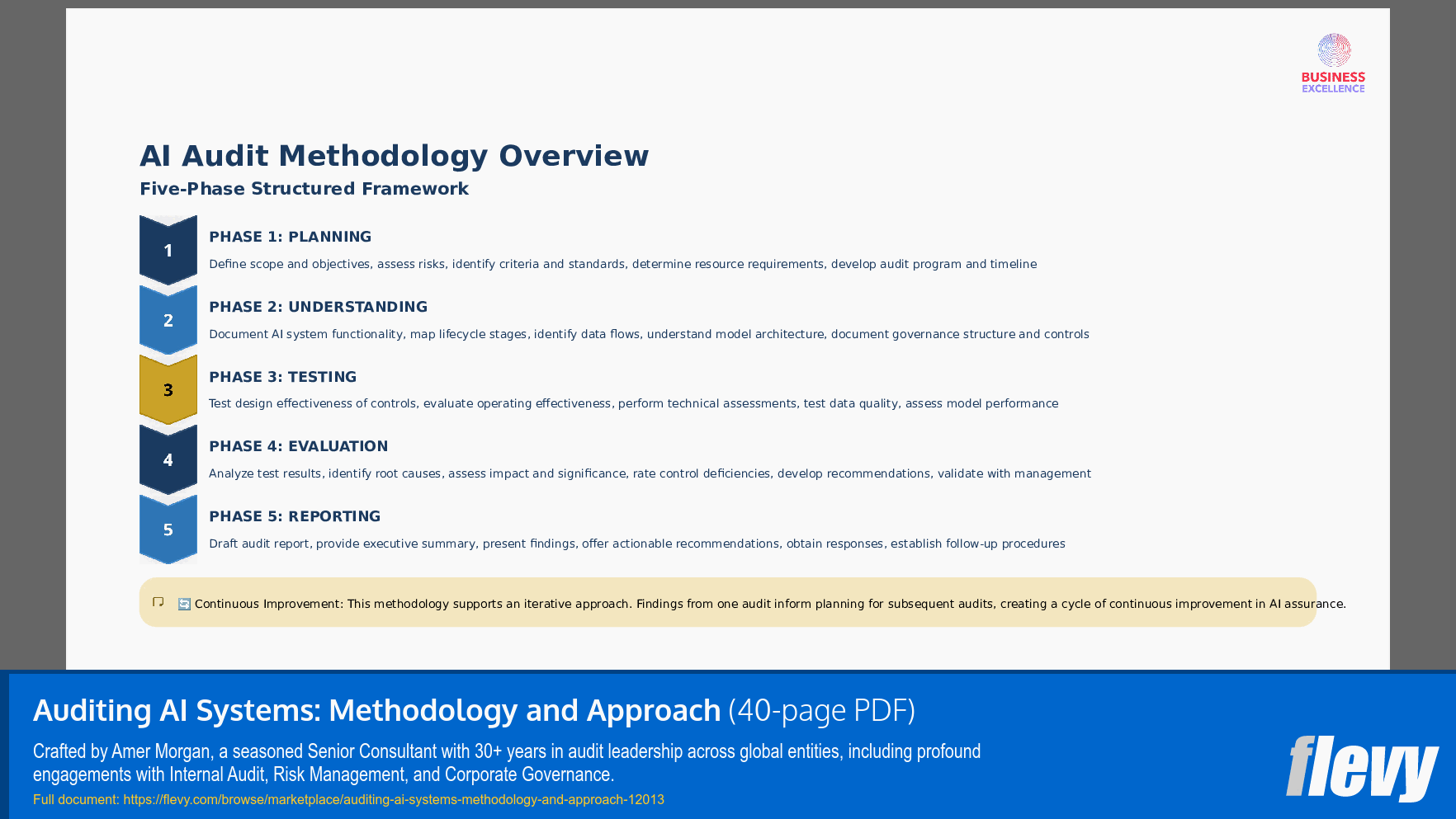 Auditing AI Systems: Methodology and Approach (40-page PDF document) Preview Image