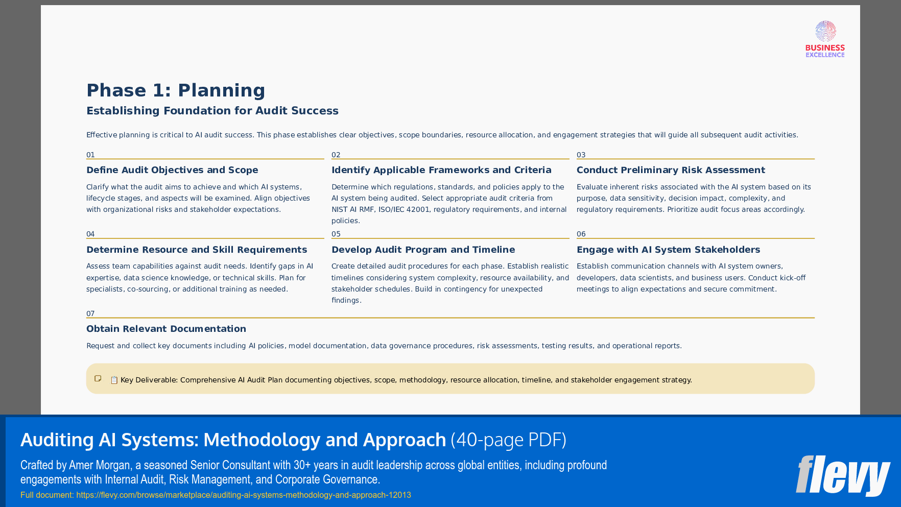 Auditing AI Systems: Methodology and Approach (40-page PDF document) Preview Image