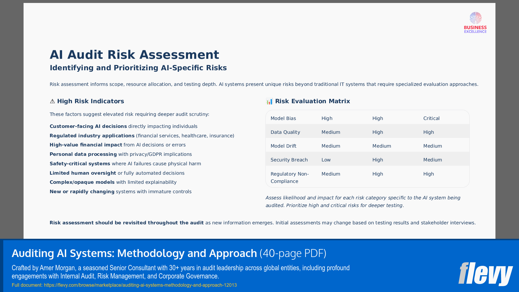 Auditing AI Systems: Methodology and Approach (40-page PDF document) Preview Image