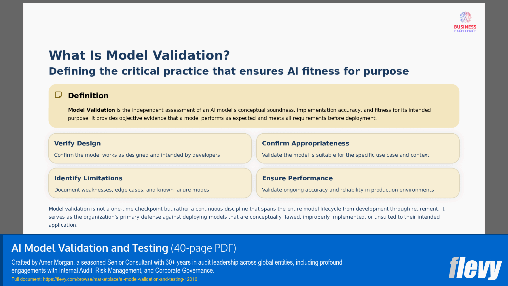 AI Model Validation and Testing (40-page PDF document) Preview Image