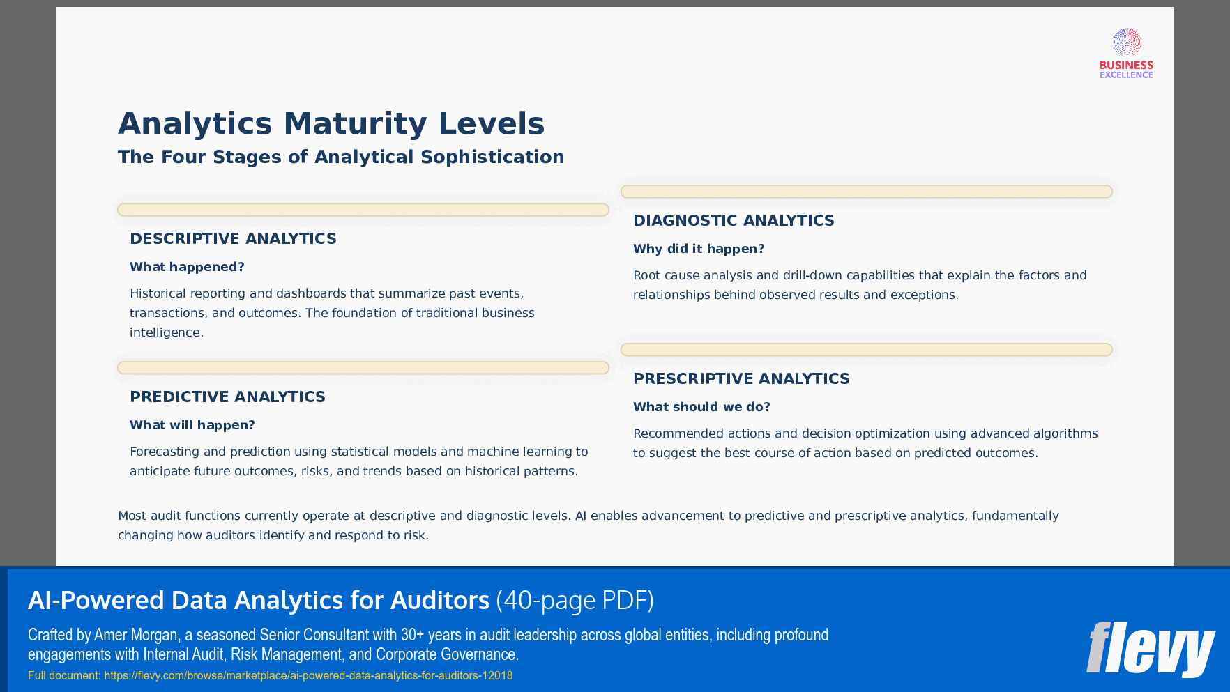 AI-Powered Data Analytics for Auditors (40-page PDF document) Preview Image