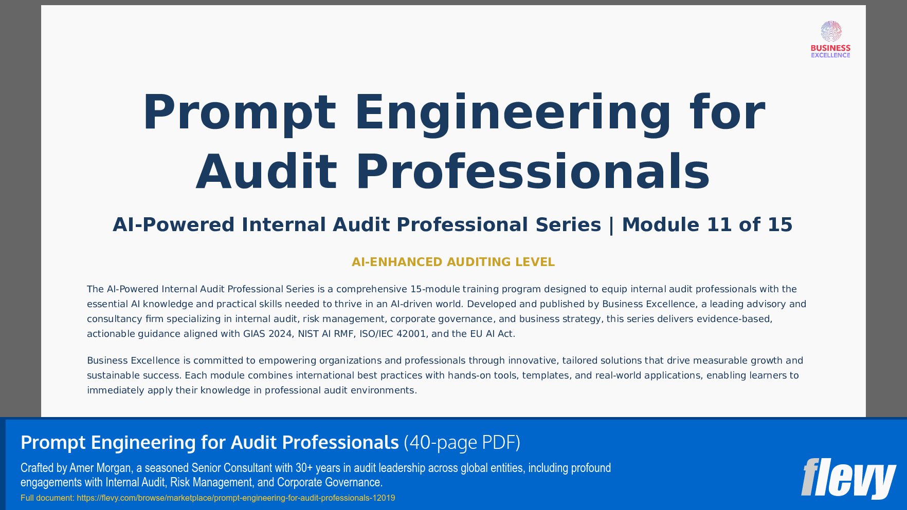 Prompt Engineering for Audit Professionals (40-page PDF document) Preview Image
