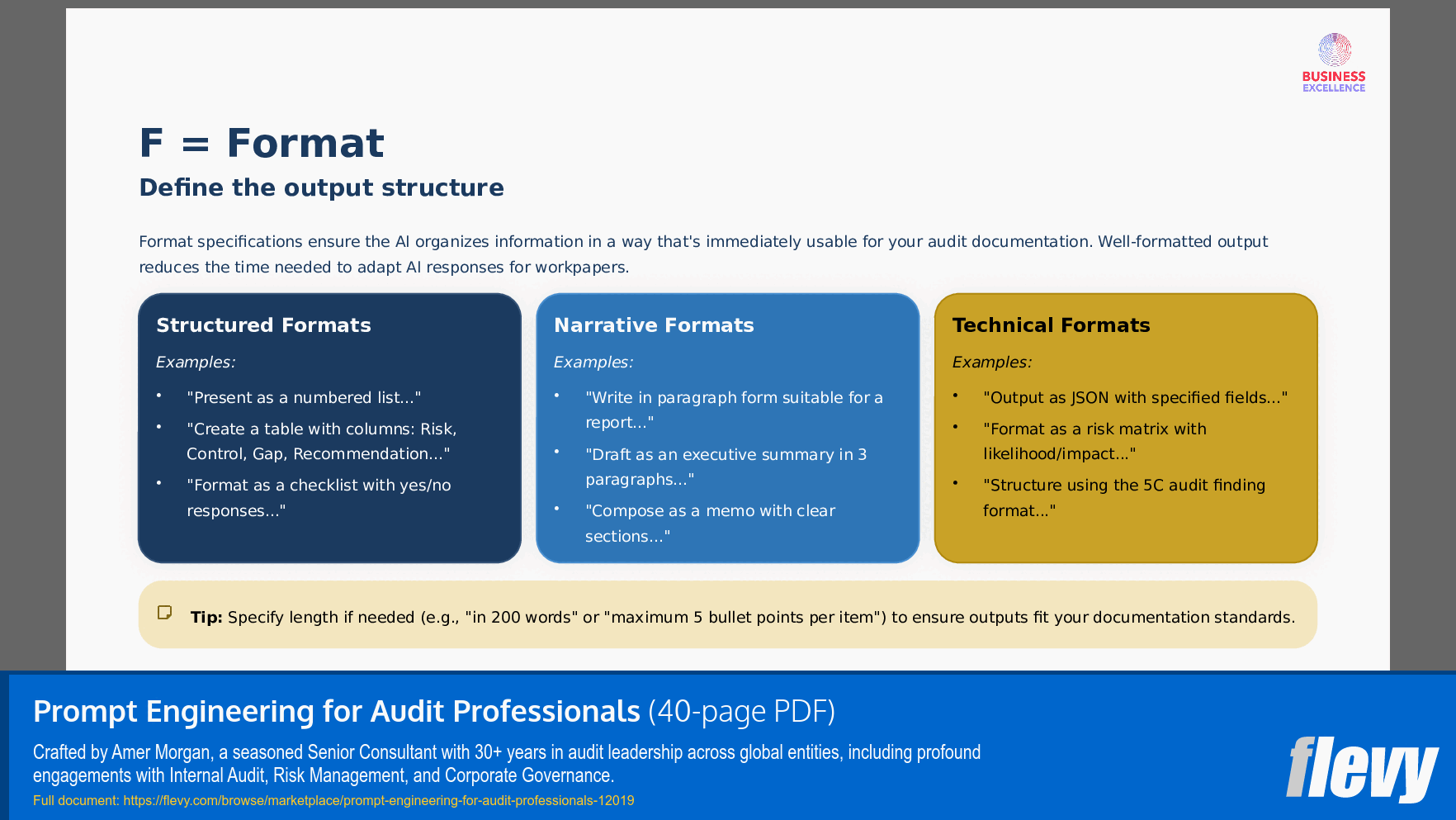 Prompt Engineering for Audit Professionals (40-page PDF document) Preview Image