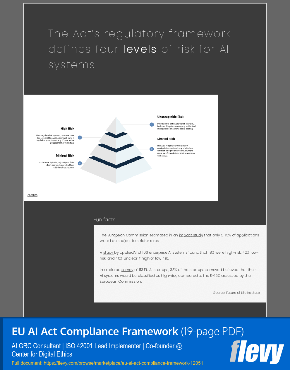 EU AI Act Compliance Framework (19-page PDF document) Preview Image