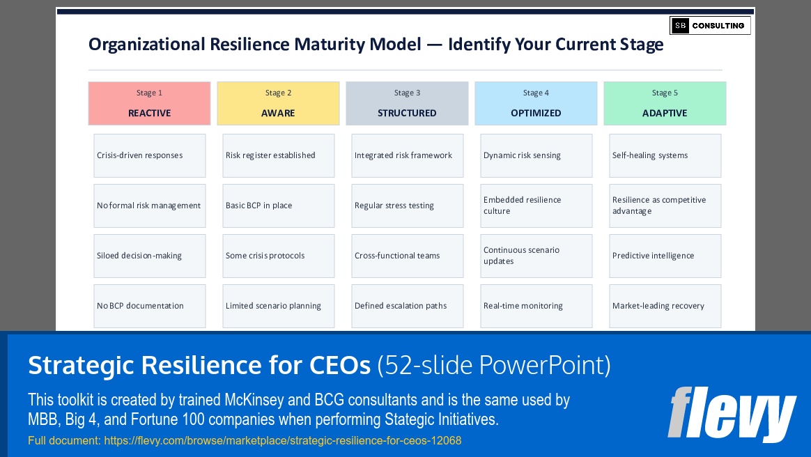 Strategic Resilience for CEOs (52-slide PPT PowerPoint presentation template (PPTX)) Preview Image
