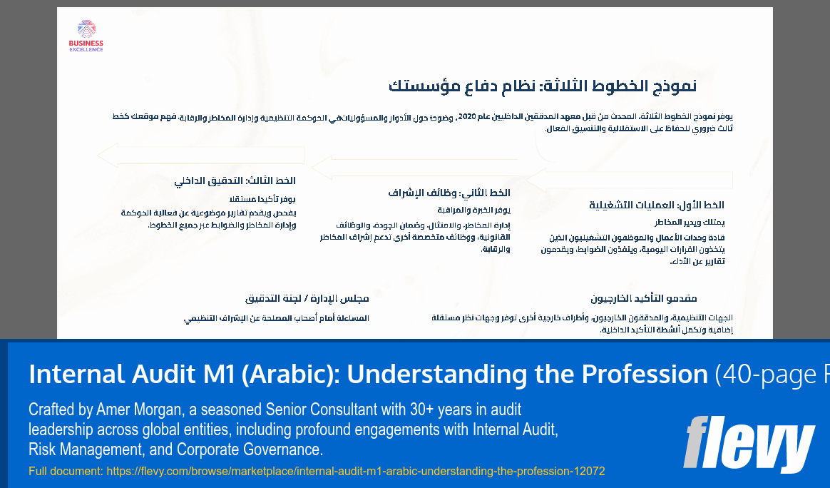 Internal Audit M1 (Arabic): Understanding the Profession (40-page PDF document) Preview Image