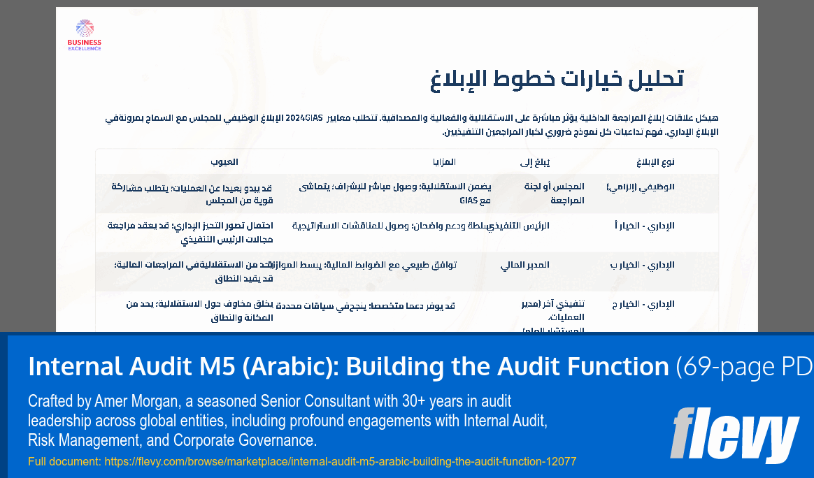 Internal Audit M5 (Arabic): Building the Audit Function (69-page PDF document) Preview Image