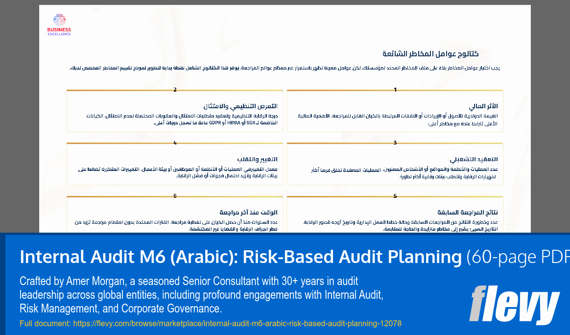 Internal Audit M6 (Arabic): Risk-Based Audit Planning (60-page PDF document) Preview Image