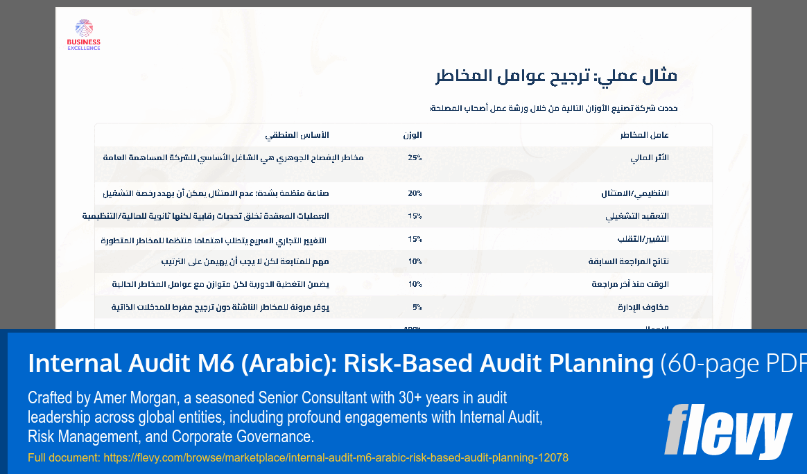 Internal Audit M6 (Arabic): Risk-Based Audit Planning (60-page PDF document) Preview Image