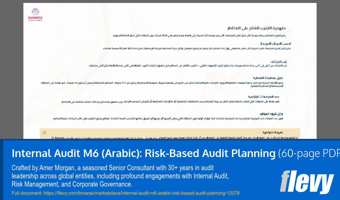 Internal Audit M6 (Arabic): Risk-Based Audit Planning (60-page PDF document) Preview Image