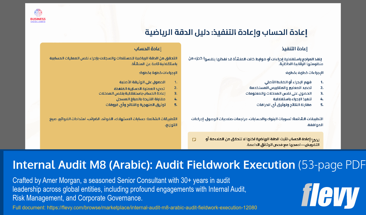 Internal Audit M8 (Arabic): Audit Fieldwork Execution (53-page PDF document) Preview Image