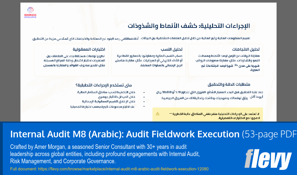 Internal Audit M8 (Arabic): Audit Fieldwork Execution (53-page PDF document) Preview Image