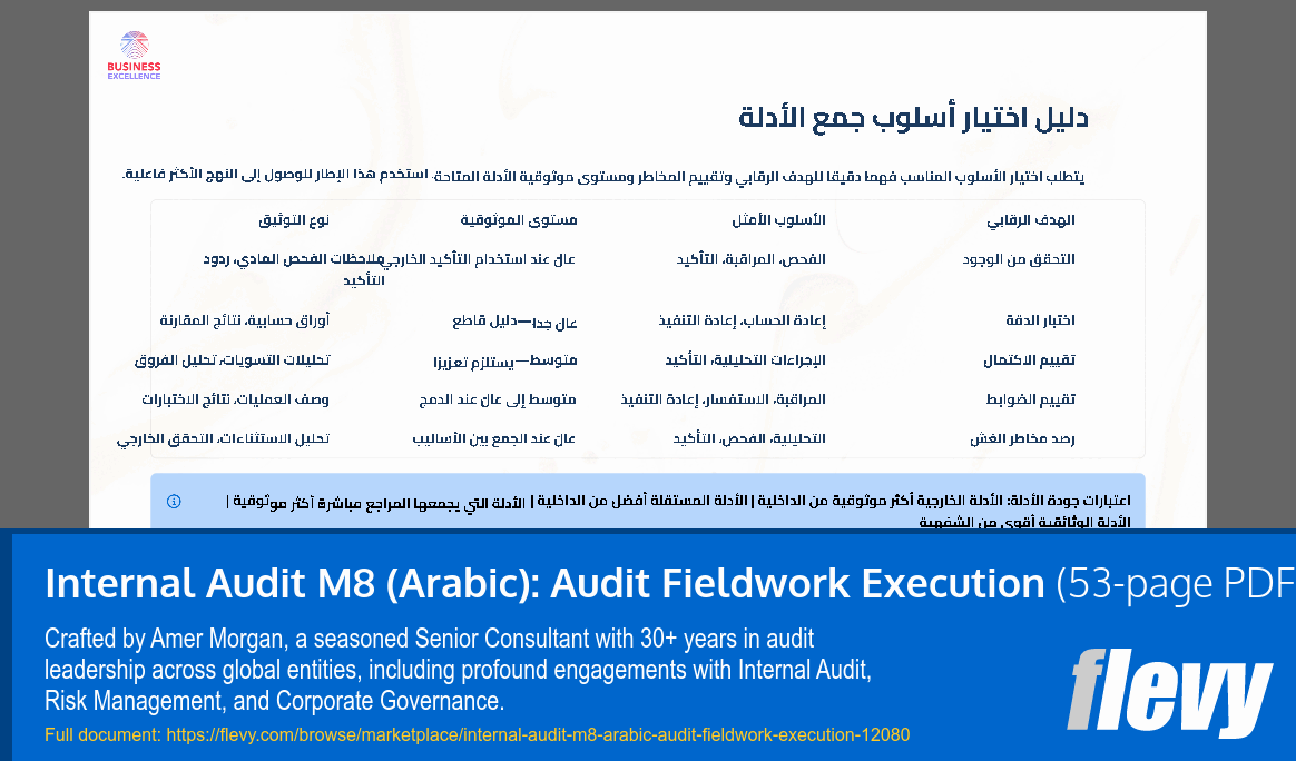 Internal Audit M8 (Arabic): Audit Fieldwork Execution (53-page PDF document) Preview Image