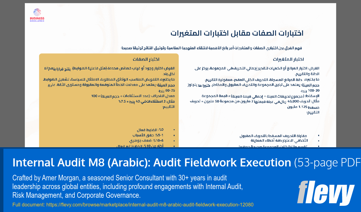 Internal Audit M8 (Arabic): Audit Fieldwork Execution (53-page PDF document) Preview Image