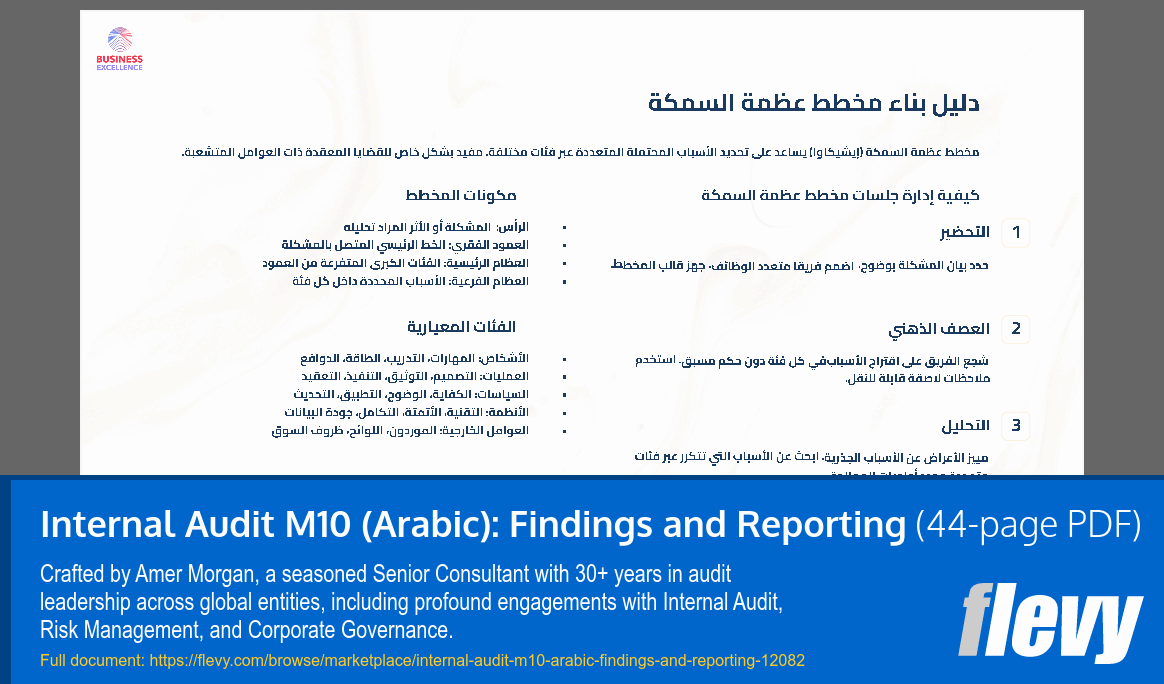 Internal Audit M10 (Arabic): Findings and Reporting (44-page PDF document) Preview Image
