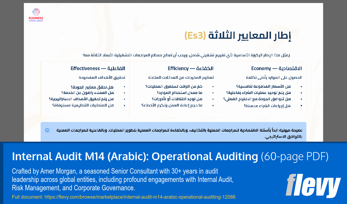 Internal Audit M14 (Arabic): Operational Auditing (60-page PDF document) Preview Image