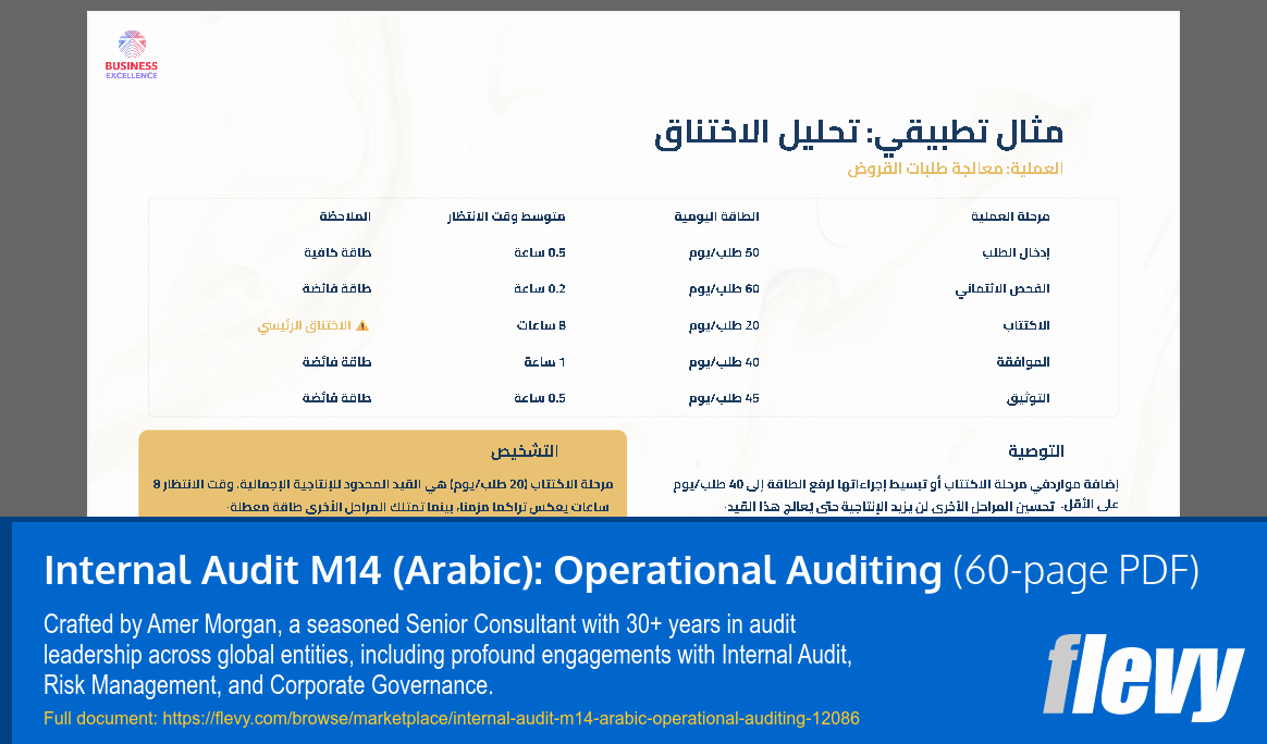 Internal Audit M14 (Arabic): Operational Auditing (60-page PDF document) Preview Image