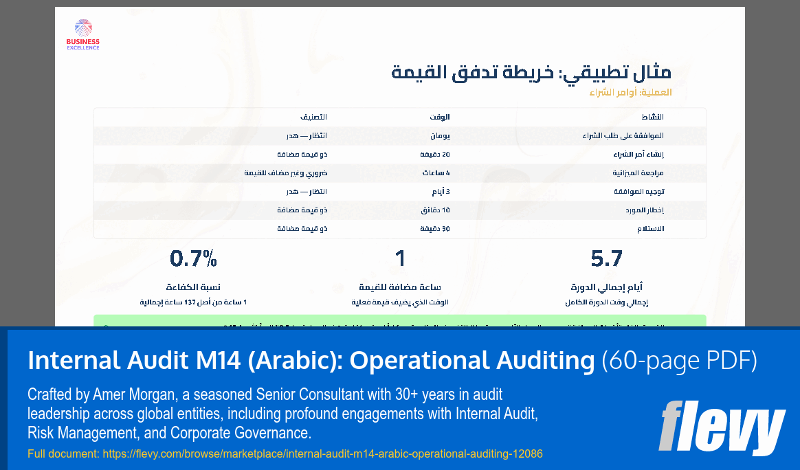 Internal Audit M14 (Arabic): Operational Auditing (60-page PDF document) Preview Image