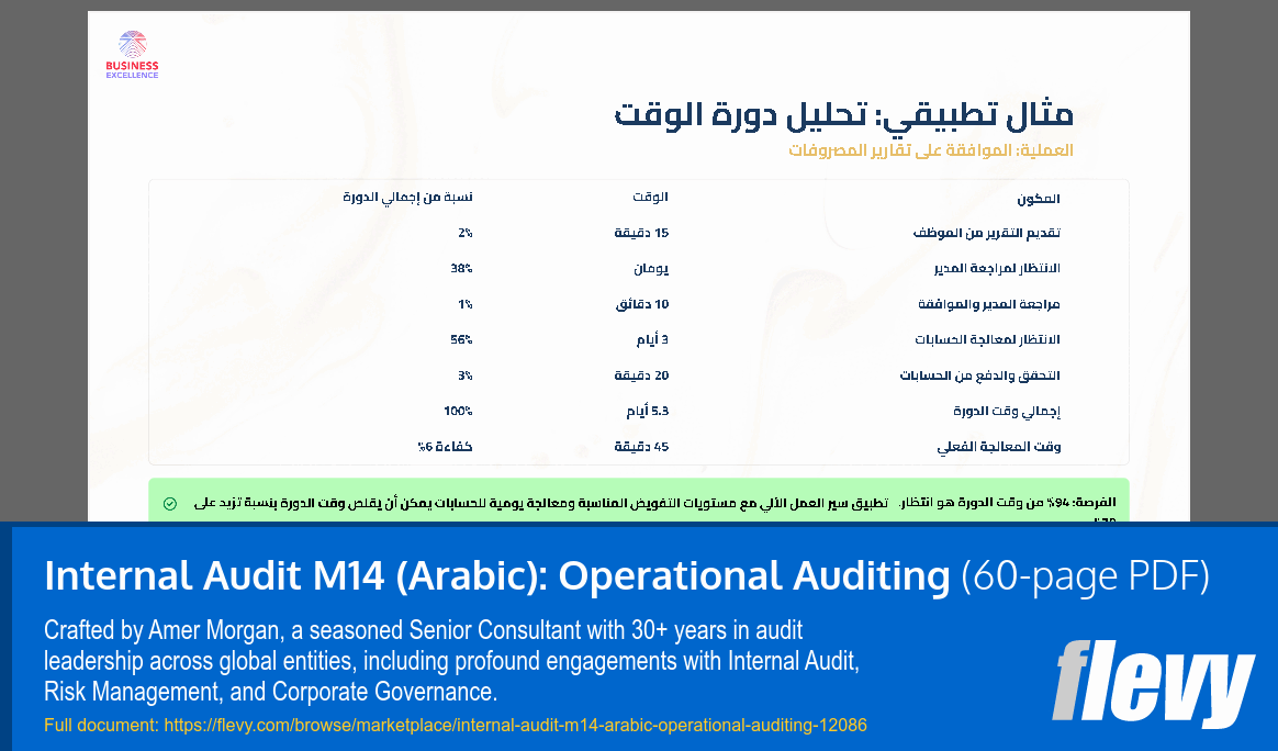 Internal Audit M14 (Arabic): Operational Auditing (60-page PDF document) Preview Image