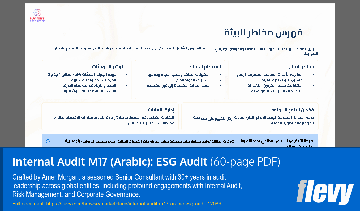 Internal Audit M17 (Arabic): ESG Audit (60-page PDF document) Preview Image