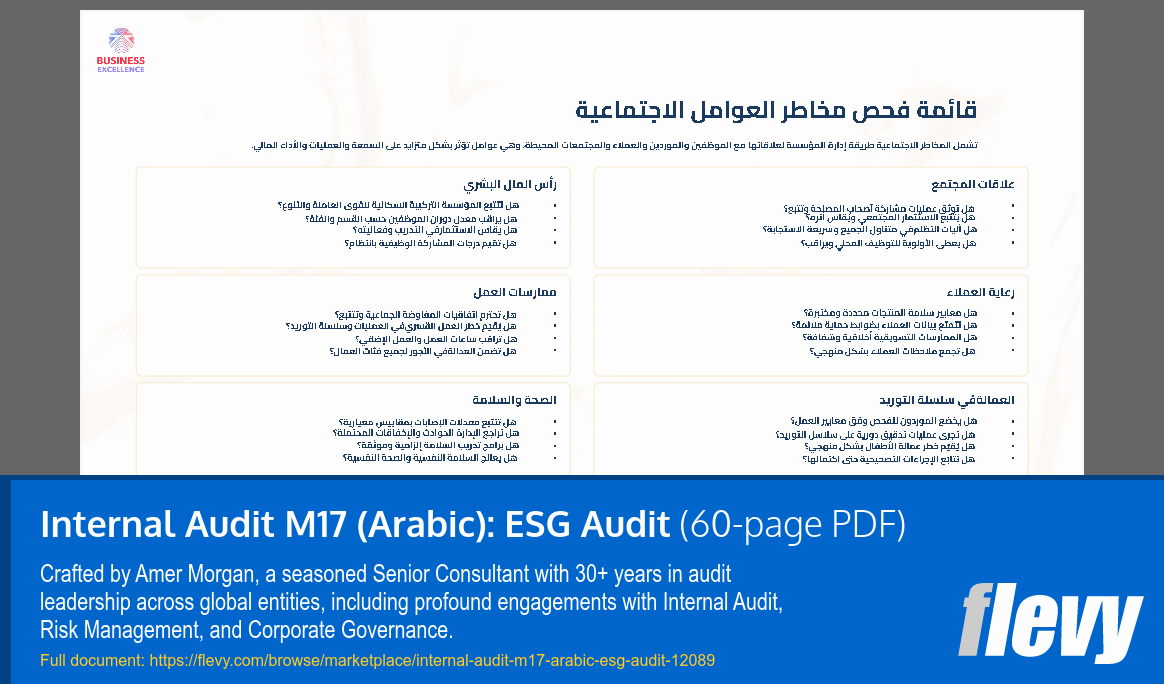 Internal Audit M17 (Arabic): ESG Audit (60-page PDF document) Preview Image