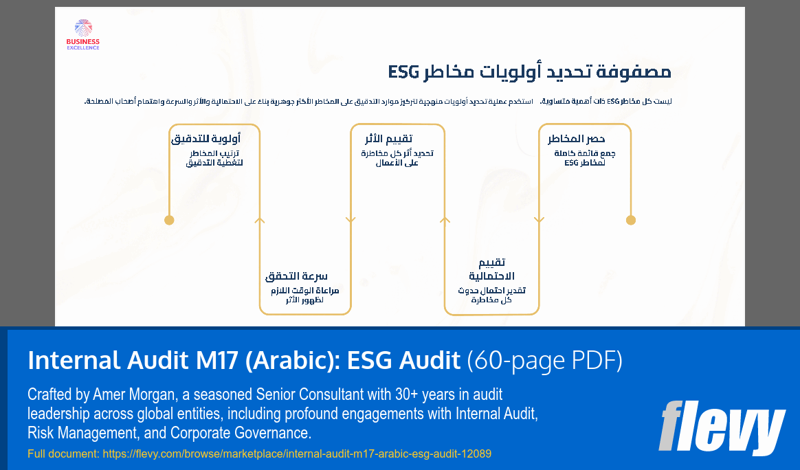 Internal Audit M17 (Arabic): ESG Audit (60-page PDF document) Preview Image