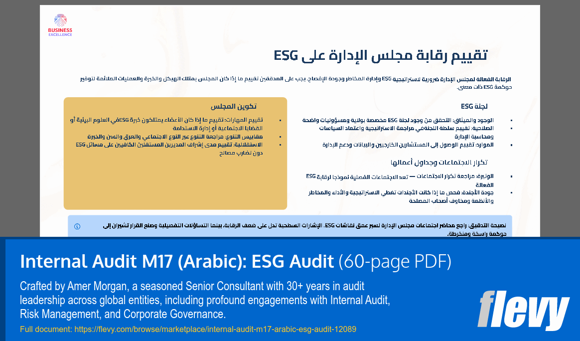Internal Audit M17 (Arabic): ESG Audit (60-page PDF document) Preview Image