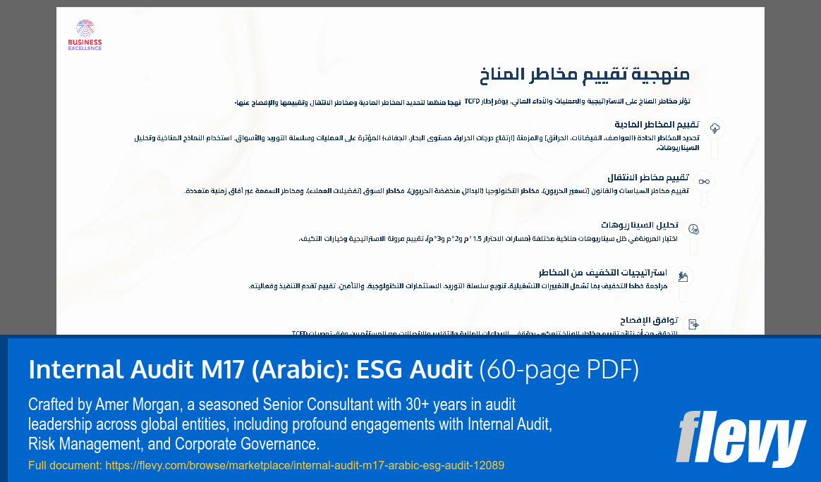 Internal Audit M17 (Arabic): ESG Audit (60-page PDF document) Preview Image